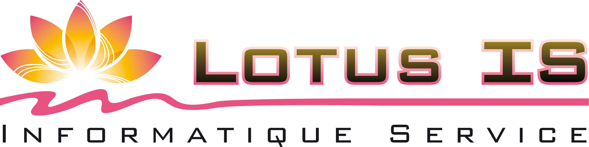 Lotus Informatique Service – Audit Conseil Informatique Installation Dépannage vente ordinateur informaticien